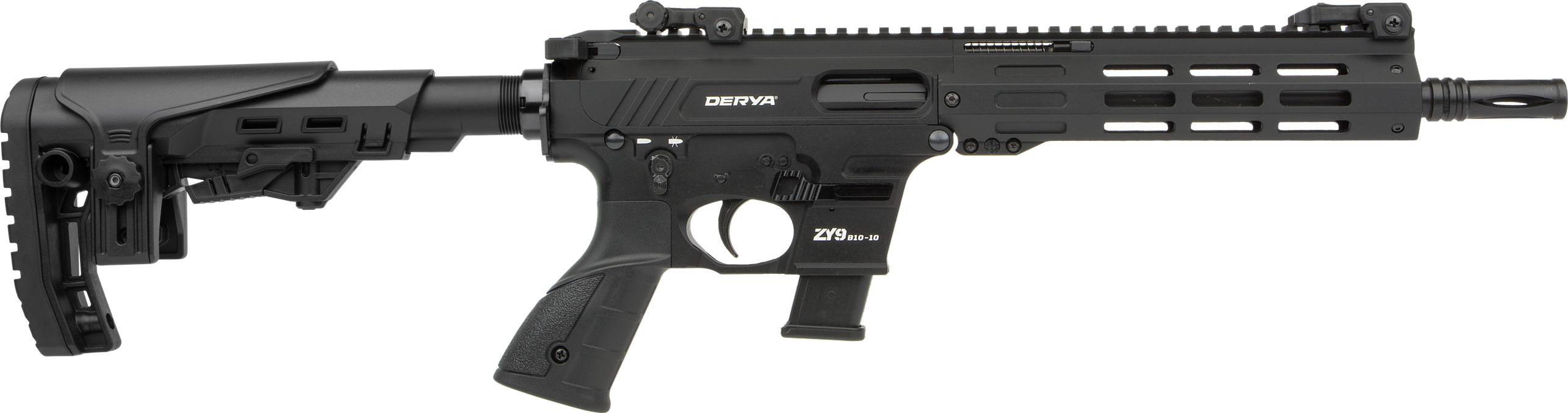ZY9-B10-10--DS101