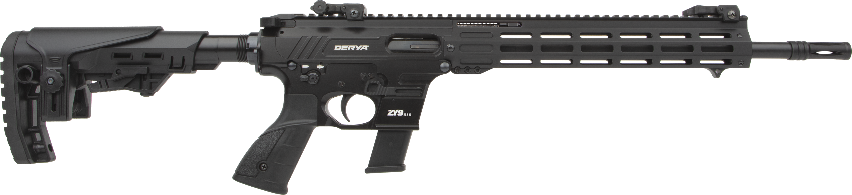ZY9-B16-DS101