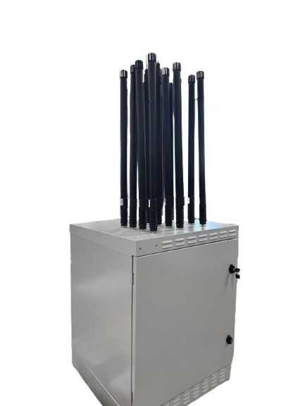 WhatsApp-Image-2025-06-26-at-11.19.32