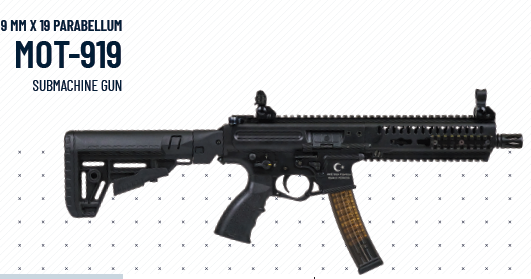 MOT-919-RESİM