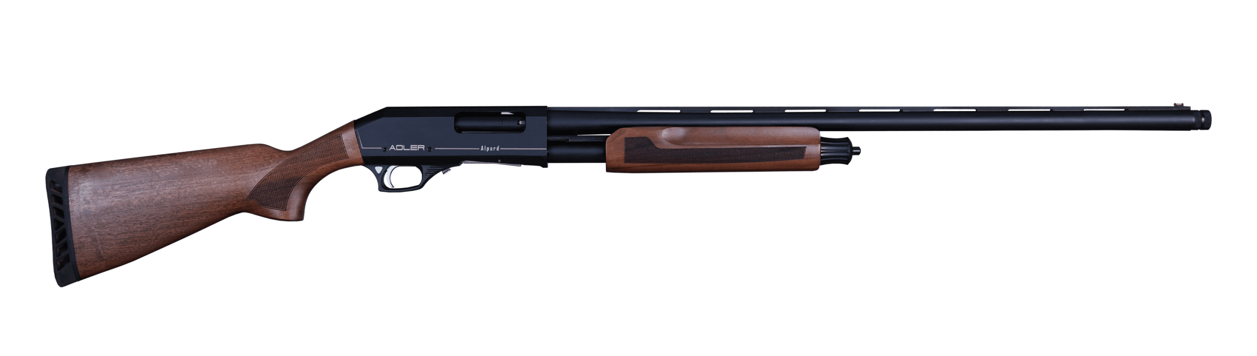ALPARD-W-scaled-1-(1)
